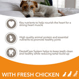 IAMS dry dog food Vitality Senior & Active 2kg - British product