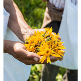 Weleda Arnica Sport Energising Vegan Shower Gel   200ml GOODS M&S