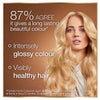 Garnier permanent hair dye Blackberry Brown, UK version