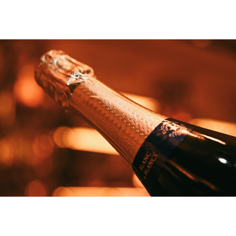Elton John Zero Blanc de Blancs alcohol free sparkling wine 75cl - British product
