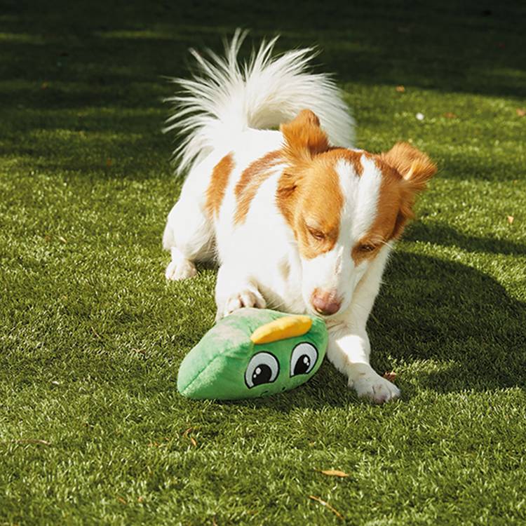 JML Chuckle Chums dinosaur dog toy (British brand)