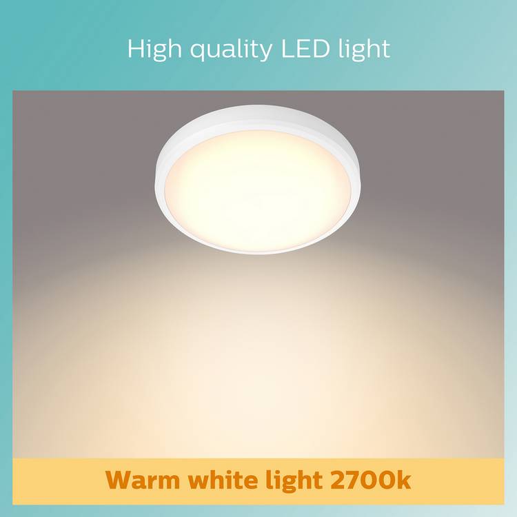 Philips bathroom ceiling light flush nickel 31cm, UK version
