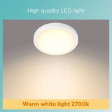 Philips bathroom ceiling light flush nickel 31cm, UK version
