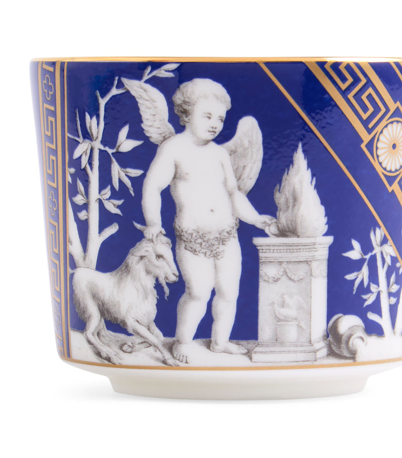 Wedgwood Renaissance teacup and saucer set of 2 (British brand)