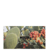 Harrods Dolce&Gabbana Casa Set of 5 Greeting Cards- Buy online at McGrocer