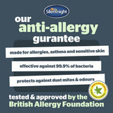 Silentnight anti-allergy pillow 2-pack, UK version