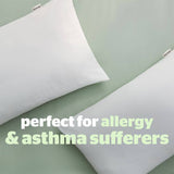 Silentnight anti-allergy pillow 2-pack, UK version