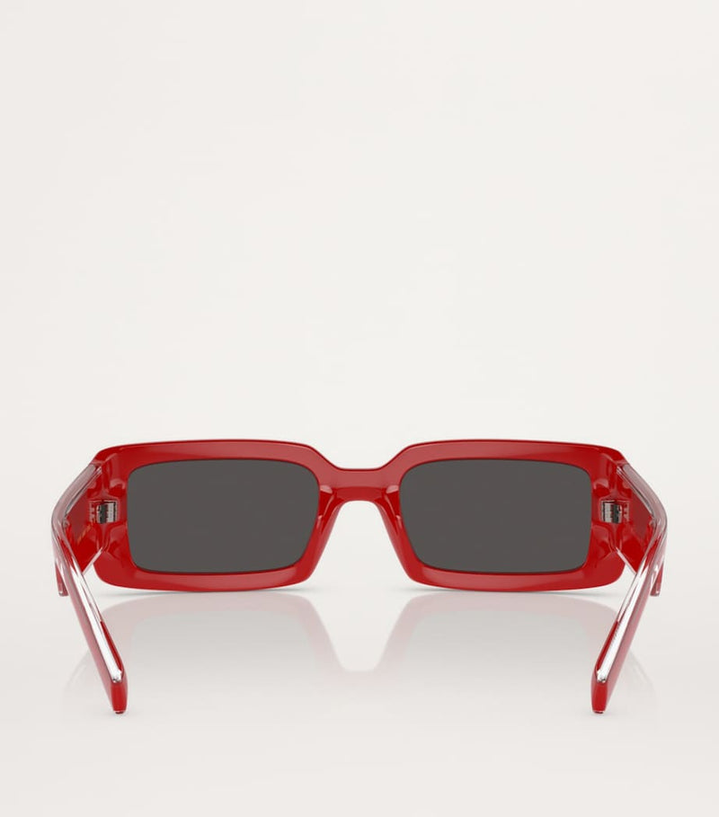 Dolce&Gabbana Injected 0DG6187 sunglasses (British brand)