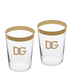 Dolce&Gabbana DG Logo cocktail glasses set of 2 - British product