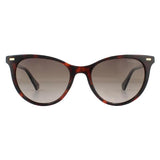 Superdrug Polaroid PLD 4107/S Havana Brown Gradient Polarized Women Sunglasses- Buy online at McGrocer