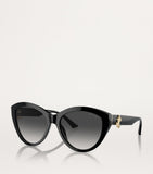 Jimmy Choo acetate JC5007 sunglasses, imported from the UK