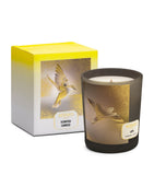 MEMO PARIS Lips candle 180g, imported from the UK