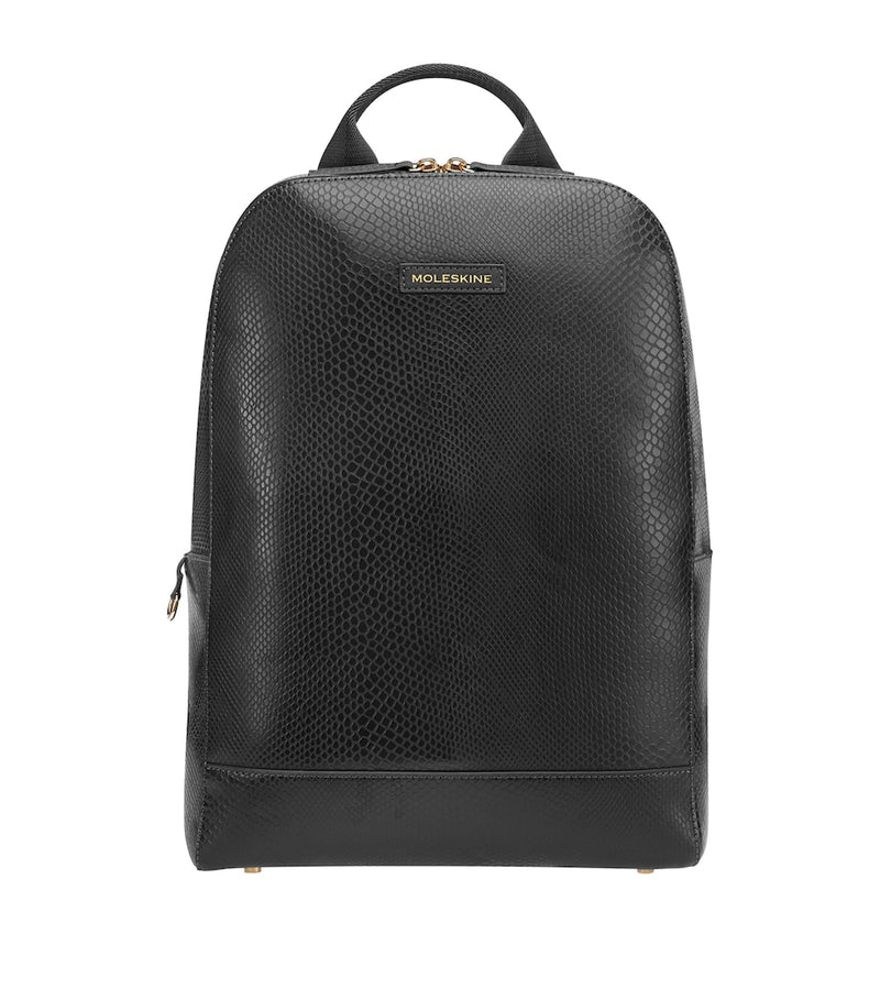 Sleek Backpack with Carbon Fibre Accents and USB Port, 43cm x 30.5cm x 14cm