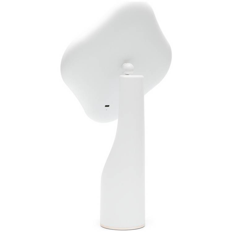 Rio illuminated flower mirror with LED lights (British brand)