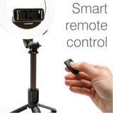 Rio adjustable vlogging tripod ring light, imported from the UK
