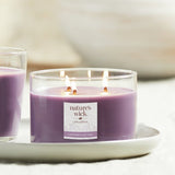 Nature's Wick multiwick candle lavender oat milk, imported from the UK