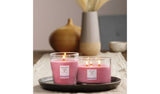 Nature's Wick Woodland Rose multiwick candle (British brand)