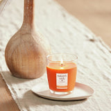 Nature's Wick Orange Papaya scented candle - British product