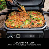 Ninja Woodfire flat plate accessory for BBQ - British product