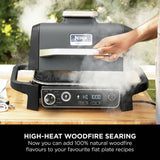 Ninja Woodfire flat plate accessory for BBQ - British product