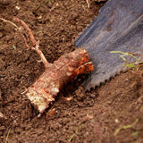 JML Rayzer Shovel Root Saw, imported from the UK