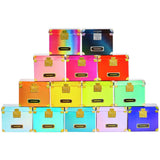 Rainbow High mystery handbag 2 inches - British product