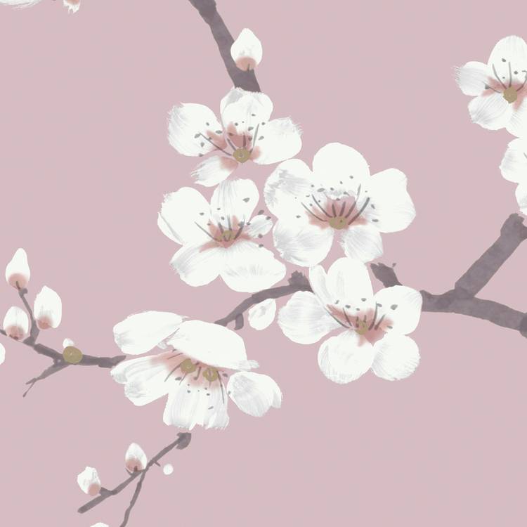 Fresco Apple Blossom Pink wallpaper, imported from the UK