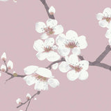 Fresco Apple Blossom Pink wallpaper, imported from the UK