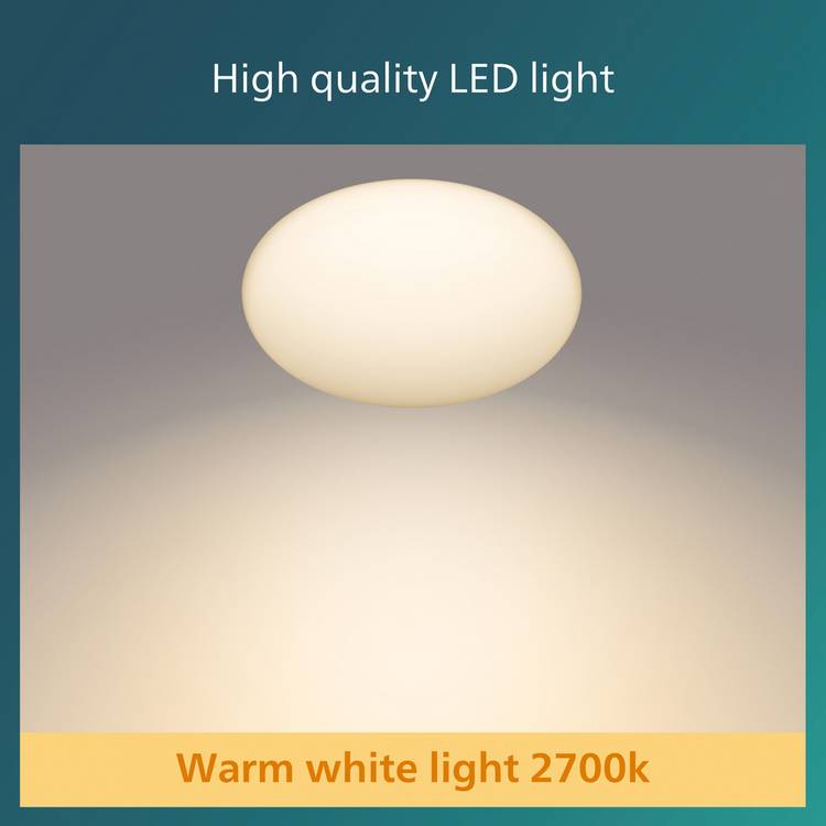 Philips motion sensor flush ceiling light 26cm, UK version