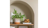 Argos Habitat Hand Painted Terracotta Large Planter - Orange- Buy online at McGrocer