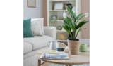 Argos Habitat Artificial White Large Peace Lily Plant - 51cm- Buy online at McGrocer