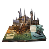 Disney Princess Harry Potter pop-up book - British product