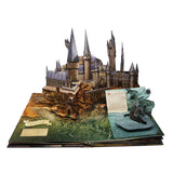 Disney Princess Harry Potter pop-up book - British product