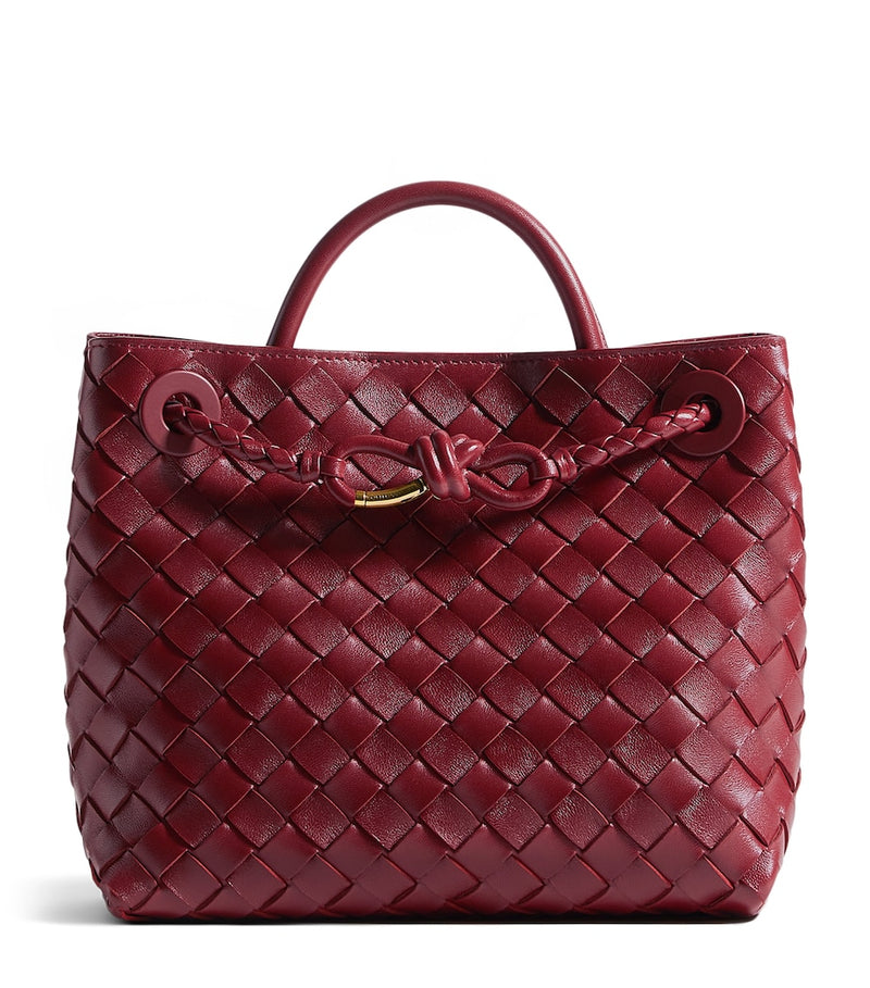 Bottega Veneta small Andiamo top-handle bag, UK version