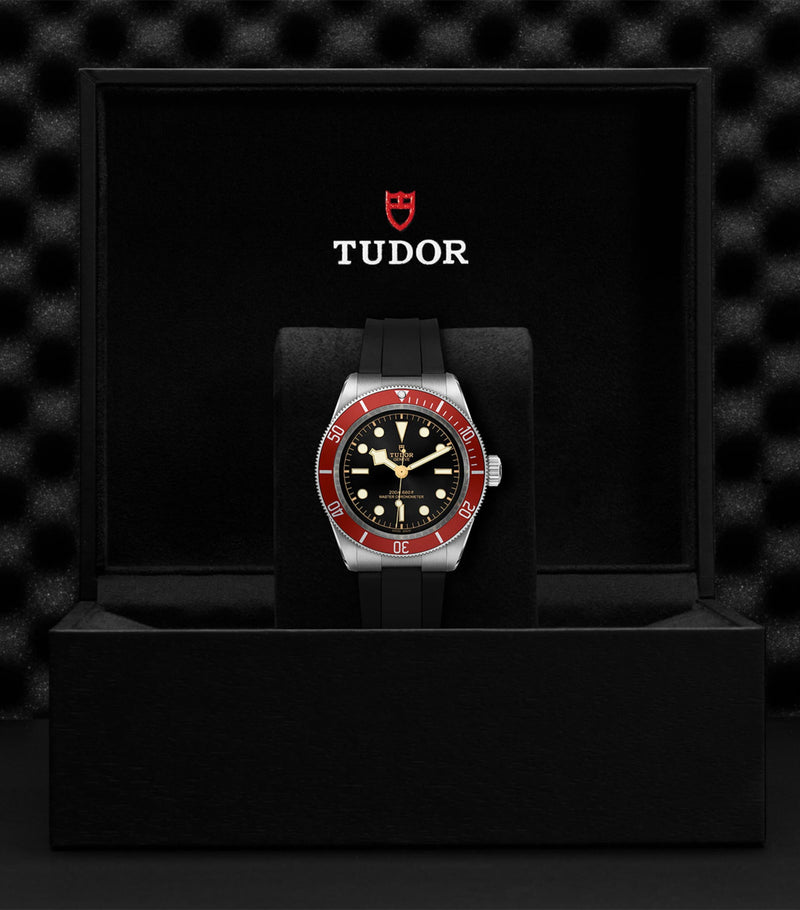Tudor watch Black Bay 41mm (British brand)