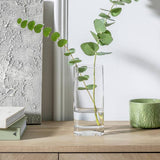 Argos Habitat Small Round Edge Square Glass Vase - Clear 20cm- Buy online at McGrocer