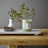 ILLUME No.1 Parsley Lime scented candle 50 hour burn (British brand)