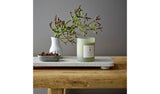 Argos ILLUME x Bloomingville No.1 Candle - Parsley Lime- Buy online at McGrocer
