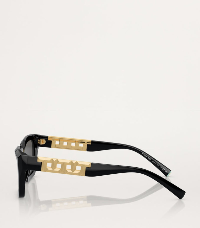 Tiffany & Co. acetate rectangular sunglasses model 0TF4213 (British brand)