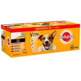 Pedigree Variety Pouch in Gravy Wet Dog Food 40 x 100g