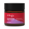 Natural Replenishing Night Cream with Hyaluronic Acid and Marula 60ml