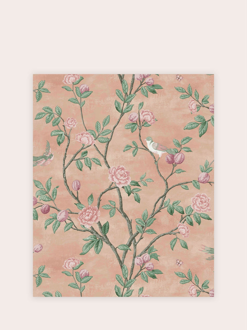 Laura Ashley Blush Eglantine A4 wallpaper sample, imported from the UK