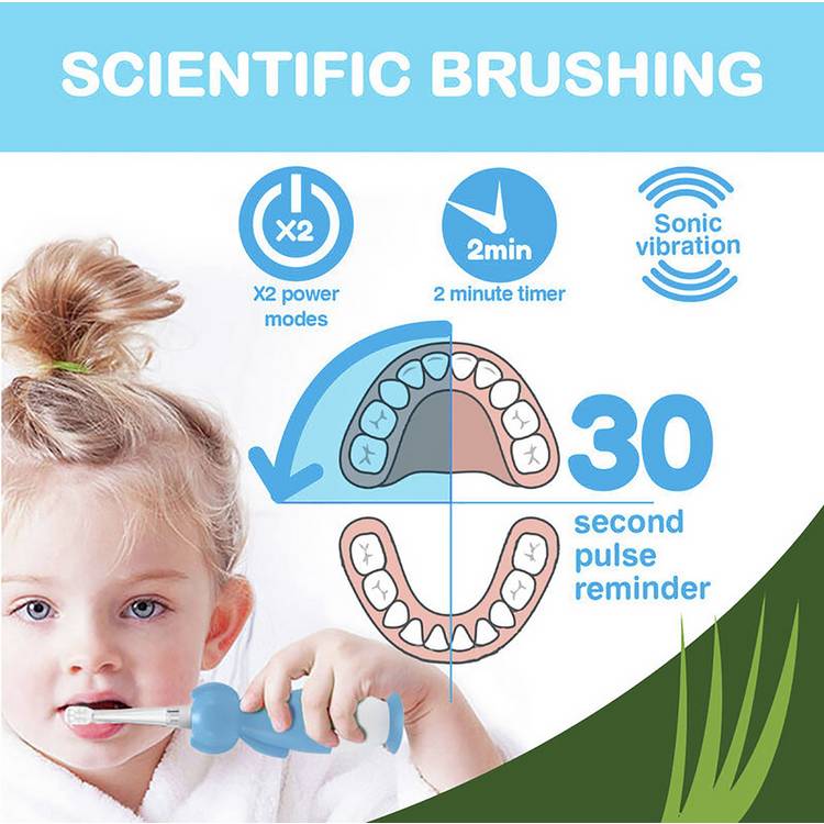brush-baby WildOnes Panda electric toothbrush, UK version