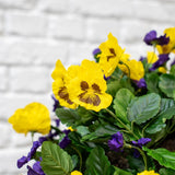 Tree Locate artificial hanging basket 35x50cm - British product