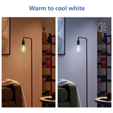 Philips WiZ G95 colour clear filament smart bulb - British product