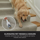Shark StainStriker Pet Spot carpet cleaner - British product