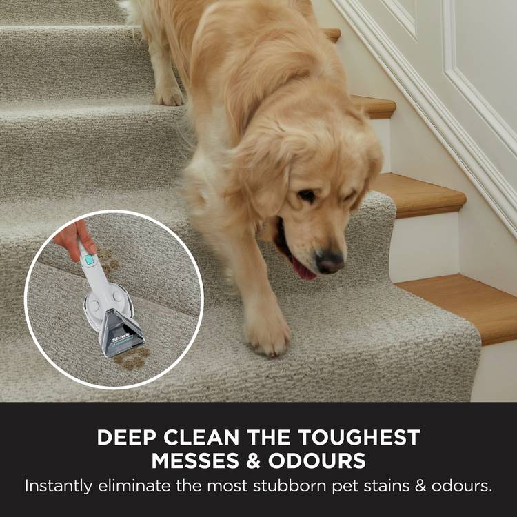 Shark CarpetXpert upright carpet cleaner - British product