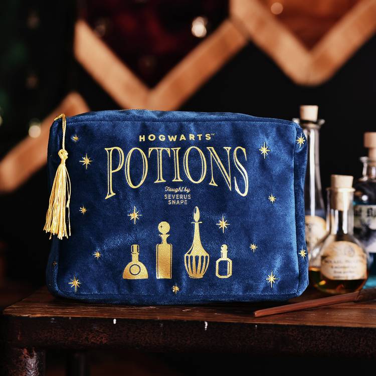 Warner Bros Harry Potter Alumni wash bag (British brand)