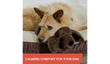 Argos JML Golden Huggie Pup Plush Toy (34x19x11.5cm)- Buy online at McGrocer