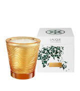 Harrods Lalique Jungle Voyage Scented Candle 750g- Buy online at McGrocer